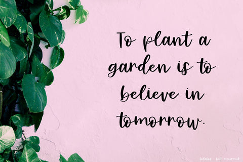 Bolabos Script Font Font Beck McCormick 