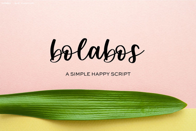 Bolabos Script Font Font Beck McCormick 