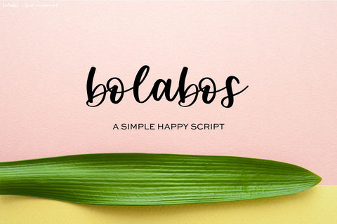 Bolabos Script Font Font Beck McCormick 