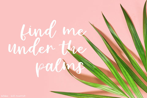 Bolabos Script Font Font Beck McCormick 