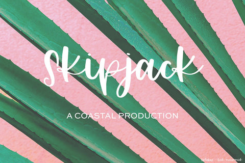 Bolabos Script Font Font Beck McCormick 