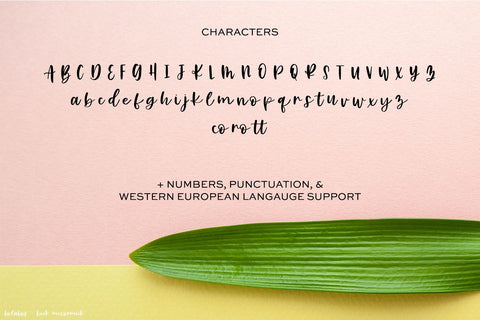 Bolabos Script Font Font Beck McCormick 