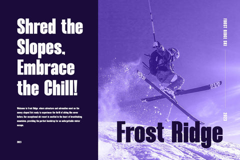 Boldiger - Modern Bold Sans Serif Font studioalmeera 