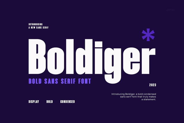 Boldiger - Modern Bold Sans Serif Font studioalmeera 