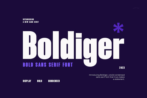 Boldiger - Modern Bold Sans Serif Font studioalmeera 