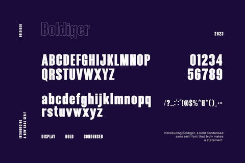 Boldiger - Modern Bold Sans Serif Font studioalmeera 