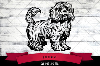 Bolognese SVG, Dog SVG, Logo - Digital Download with Commercial License for Cricut, Silhouette, Scan N Cut Crafting SVG Loveleen Kaur 