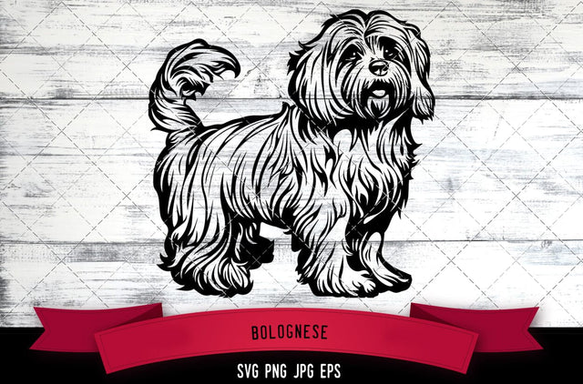 Bolognese SVG, Dog SVG, Logo - Digital Download with Commercial License for Cricut, Silhouette, Scan N Cut Crafting SVG Loveleen Kaur 