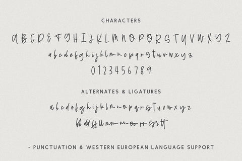 Boneyard Script Font Beck McCormick 