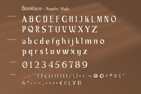 Boniface - Display Serif Font Font Alpaprana Studio 