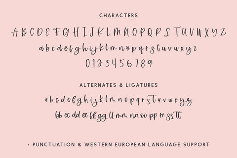 Boondoggle Script Font Beck McCormick 