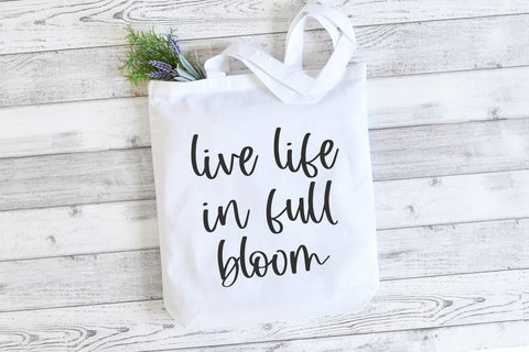 Boondoggle Script Font Beck McCormick 