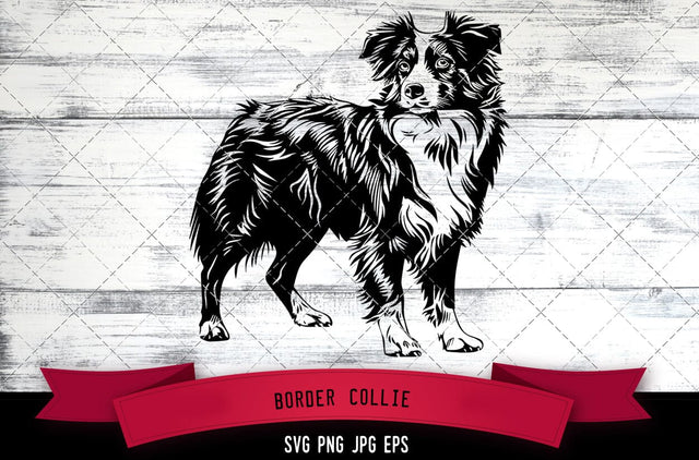Border Collie SVG, Dog SVG, Logo - Digital Download with Commercial License for Cricut, Silhouette, Scan N Cut Crafting SVG Loveleen Kaur 
