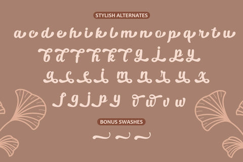 Bosnia Script Font muhammadzeky 
