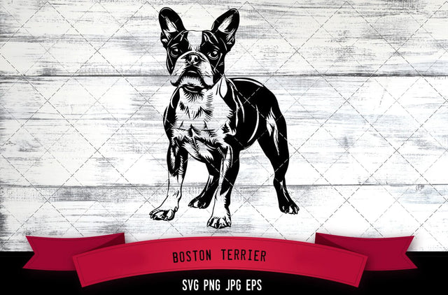 Boston Terrier SVG, Dog SVG, Logo - Digital Download with Commercial License for Cricut, Silhouette, Scan N Cut Crafting SVG Loveleen Kaur 
