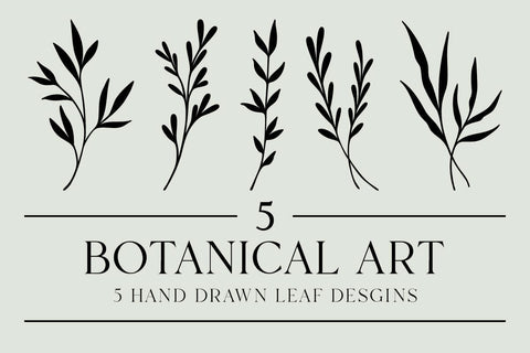 Botanical Art Bundle SVG RFCreative 