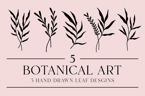 Botanical Artwork Bundle SVG RFCreative 