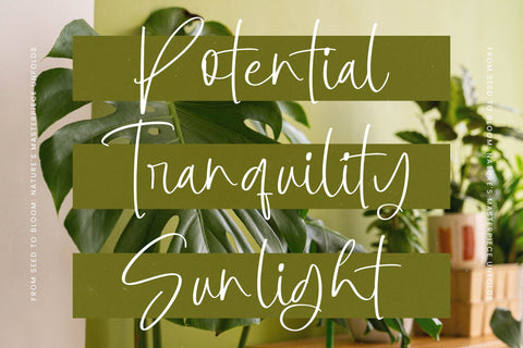 Botany Centers - Modern Handwritten Font Font Letterena Studios 