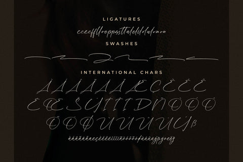 Boulevard Goleriales - Modern Handwritten Script Font Letterena Studios 
