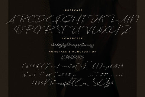 Boulevard Goleriales - Modern Handwritten Script Font Letterena Studios 