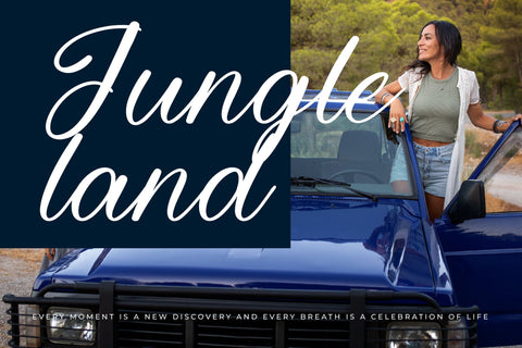 Bounty Motion - Modern Bold Font Font Letterena Studios 