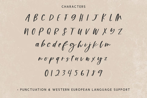Bourbons Script Font Beck McCormick 