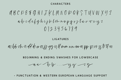 Bowie Girl Script Font Beck McCormick 