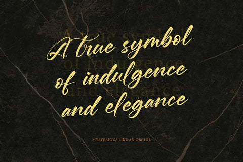 Boytang Keghora - Calligraphy Font Type Font Letterena Studios 