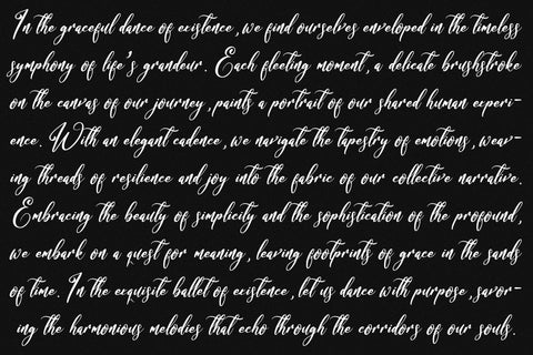 Bracetison - Modern Handwritten Font Font Letterena Studios 