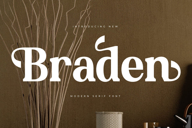 Braden - Modern Serif Font Font Letterena Studios 