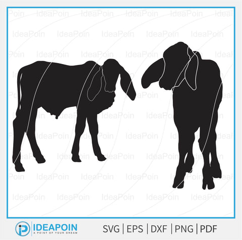 Brahman Calf svg, Brahman Cow svg, Brahman Calves svg, Livestock svg, Cattle svg, Farm Animal Vector, Brahman Cow svg SVG Dinvect 