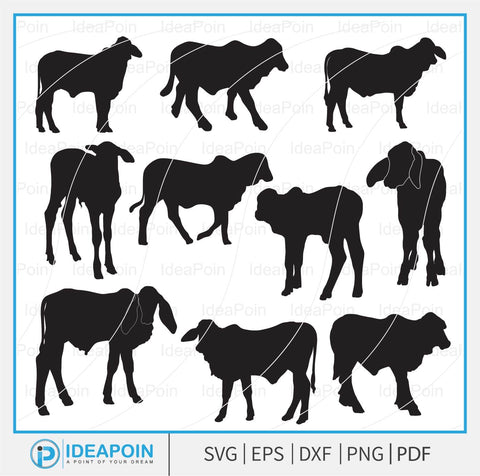 Brahman Calf svg, Brahman Cow svg, Brahman Calves svg, Livestock svg, Cattle svg, Farm Animal Vector, Brahman Cow svg SVG Dinvect 