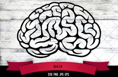 Brain SVG, Neurology SVG SVG Loveleen Kaur 