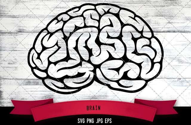 Brain SVG, Neurology SVG SVG Loveleen Kaur 