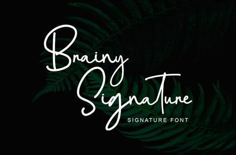 Brainy Signature Font Font Yuby 