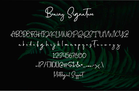 Brainy Signature Font Font Yuby 