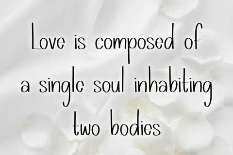 Brandings Font Abo Daniel Studio 