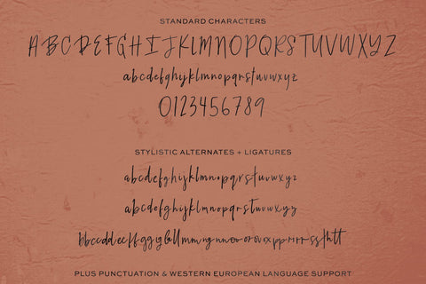 Brauhaus Script Font Font Beck McCormick 