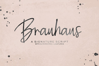 Brauhaus Script Font Font Beck McCormick 