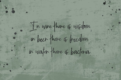 Brauhaus Script Font Font Beck McCormick 
