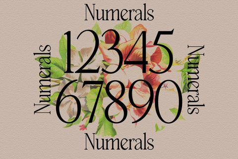 Breasto Display Typeface Font Fadeline Std. 