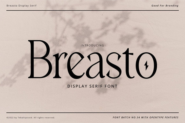 Breasto Display Typeface Font Fadeline Std. 