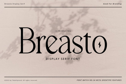 Breasto Display Typeface Font Fadeline Std. 