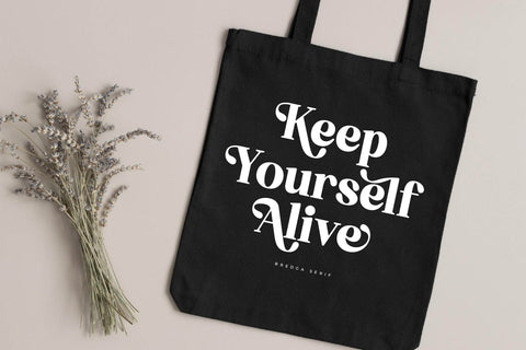 Bredga - Decorative Serif Font Font Letterena Studios 