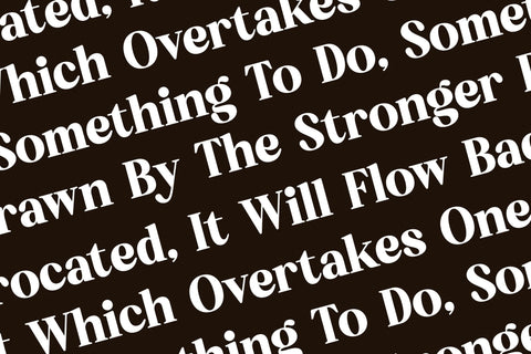 Bredga - Decorative Serif Font Font Letterena Studios 