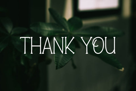 Bremor Font Abo Daniel Studio 