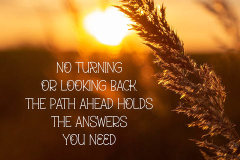 Bremor Font Abo Daniel Studio 