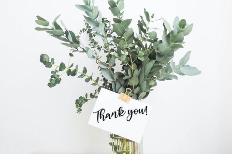 Brides Creates Font Studio Natural Ink 