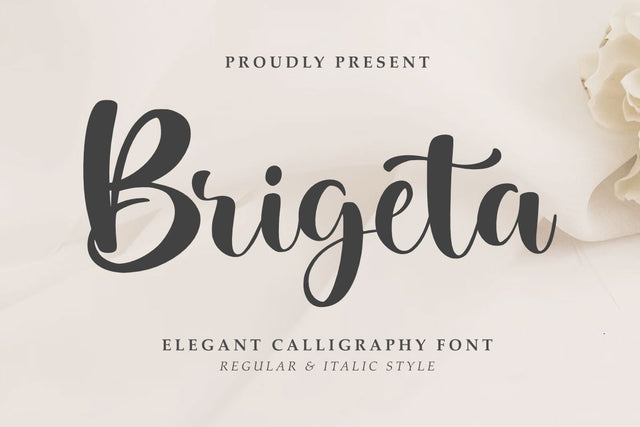 Brigeta - Elegant Script Font Font Masyafi Studio 