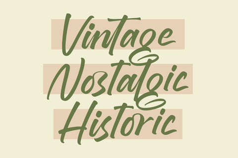 Brighten Shootters - Modern Script Font Font Letterena Studios 